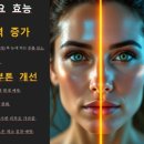 코코앤뷰티크