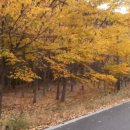 영천시 매산 고택과 산수정 이미지