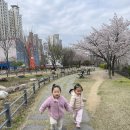 4월 5일 공원 산책🌳 이미지