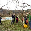 시목마을 이미지