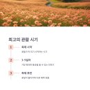 하추리 하천변 이미지