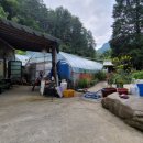 선바우농장민박 이미지