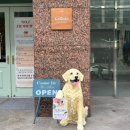구로대형카페 &#39;카페칼리스타 구로본점&#39; 넓은 구로 베이커리 카페에서 좋은 시간 보내기