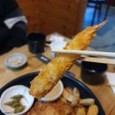 료기 이미지