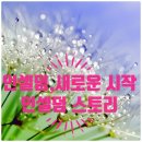 인셀덤만남대리점 | 인셀덤,새로운 만남 인셀덤 사업 경험 후기