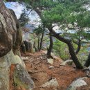 거제역사문화탐방길 | 역사와 시간이 머문 경주 남산 금오봉 최단코스 탐방 후기