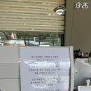 광주 애견카페 운동장이 있는 독스아일랜드