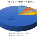 마늘농장에서 알려주는 마늘 효능과 보관법! 이미지