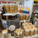 진영냥이 이미지