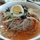 장터막국수 Daum카페