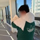 자연보호헌장비 | 수원 쉬즈메디 산부인과 자연분만 2인실 / 5인실 입원 후기 (총비용 포함)