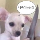 새혜민약국 | 나 아직 산타 믿어요