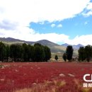 도성목장 이미지