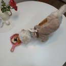 부띠끄멍 수제간식 이미지