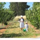 승재농장 이미지