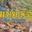 [다람쥐와 동고비] [시] 현사 Hyonsha 이미지