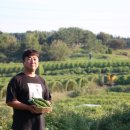 도연푸드 네이버블로그