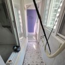 삼성장미 이미지