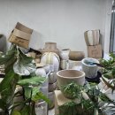 이천 도자기 마을 예스파크 샅샅이 돌아(만) 다닌 후기