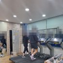 신은철복싱월드 이미지