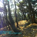 녹차밭약수터 이미지