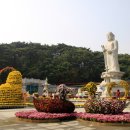 달과 함께 걷다 이미지