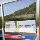 자연쉼터 | [대전] 아이와 함께한 숙소, 4인가족 숙소, 쉼터정원, ‘만인산자연휴양림’ 후기 1