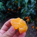 석화농장 이미지