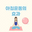 더온 필라테스 이미지