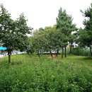 감골공원길 이미지