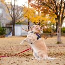 파주출판단지 근린공원(1) 이미지