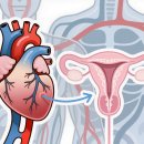 아낌없이주는나무한의원 이미지