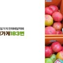 요기과일 이미지