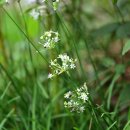 한라LPG충전소 이미지