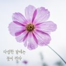 미라클요양병원 이미지