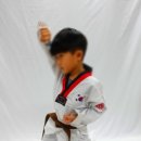 경희대 더함 태권도장 이미지