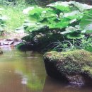 유로메드 이미지