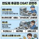 디에스파이브