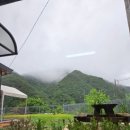 목향사랑채 네이버블로그