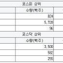 디아이메디컬 이미지