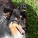 장현동물병원 이미지