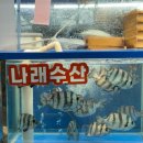 나래맛집 | [송파] 가락시장 방어 맛집 포장 후기 '나래수산'🐟