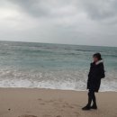 인제주아일랜드