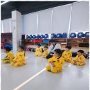 인성튼튼태권도 이미지
