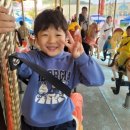 한빛 태권도 이미지