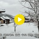 봄눈 이미지