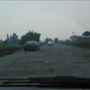 은빛물고기 이미지