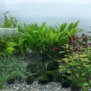 태백수족관 이미지