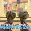 베스킨라빈스대송 | 두쫀쿠보다 맛과 가성비가 좋은 베스킨라빈스31 두바이에서 온 엄마는 외계인 깔끔한 맛 평가