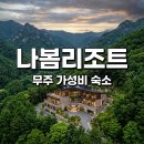 무주나봄리조트 후기 덕유산 스키장 근처 가성비 가족 숙소 추천
